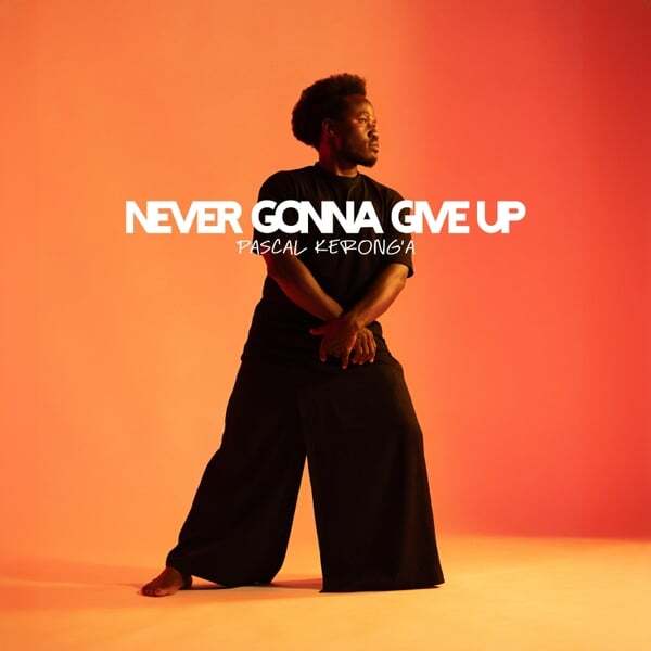 Cover art for Never Gonna Give Up